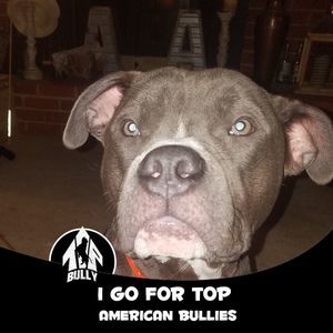 Meet your Posher, Anthony